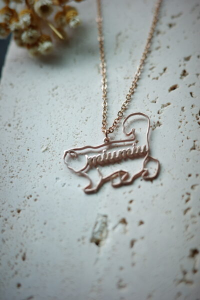 pet name necklace | 定制寵物名字項鍊 - Image 12