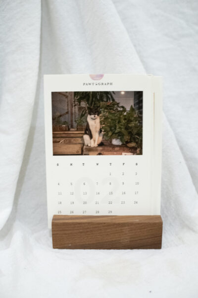 custom pet calendar | 寵物月曆 - Image 2