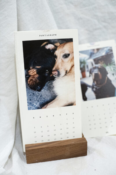 custom pet calendar | 寵物月曆 - Image 3