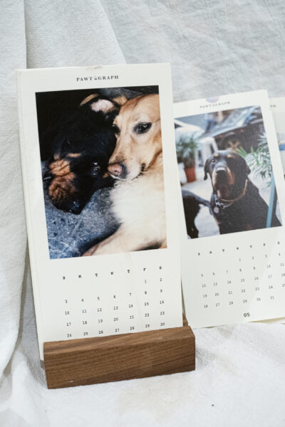 custom pet calendar | 寵物月曆